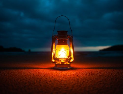 How to Nurture Your Spiritual Growth